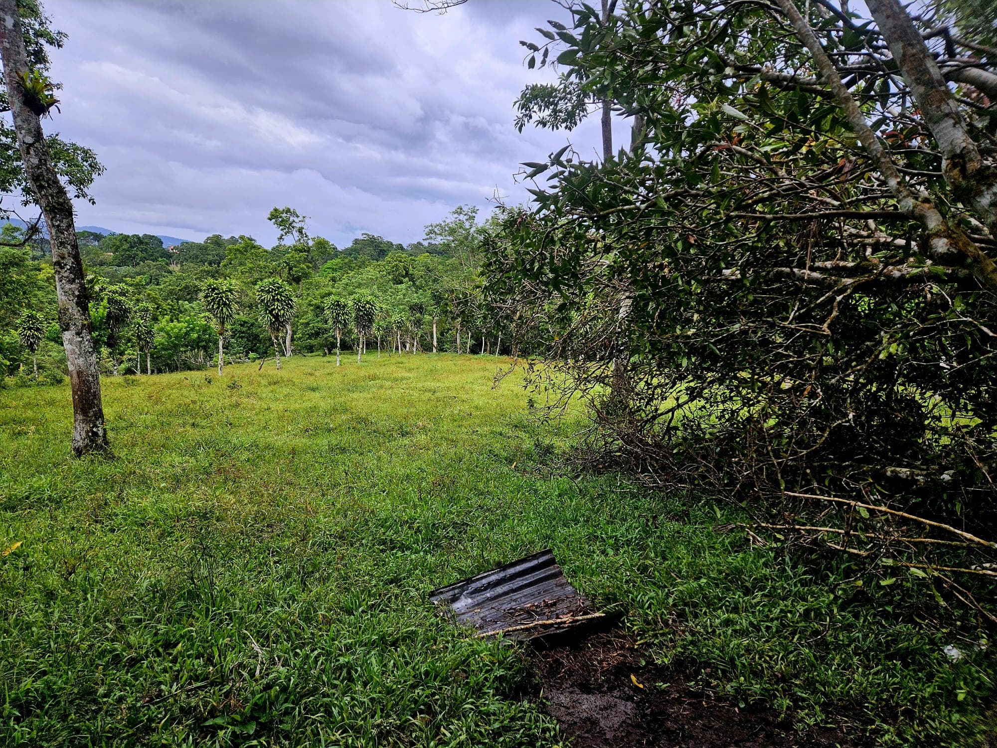 8,737 M2 (2.15 Acre) Lot with View  of Lake Arenal in Tronadora - 4