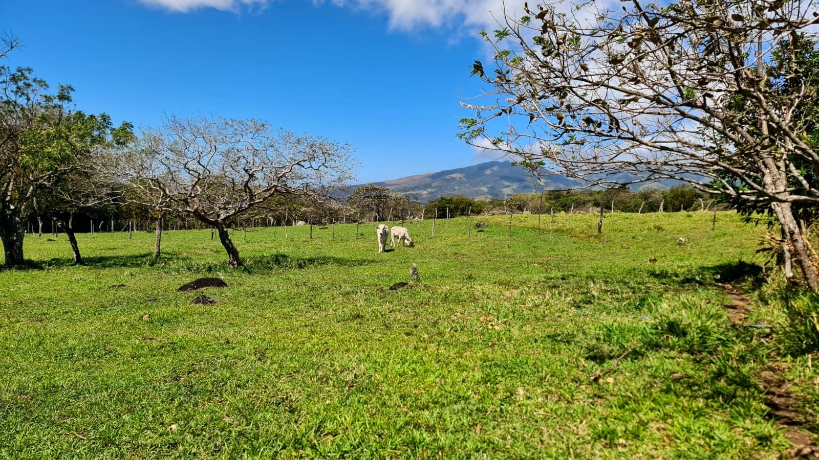 10,000 M2 (2.47 Acre) Lot with Volcano View in Nueva Guatemala