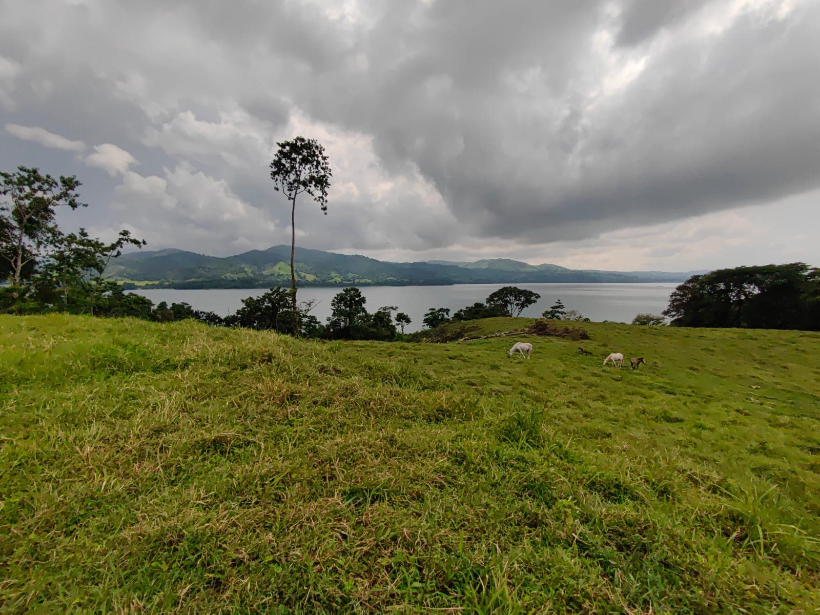 Finca La Tortuga – A Developer’s Dream! Lake Arenal View 5.7 Hectare Farm