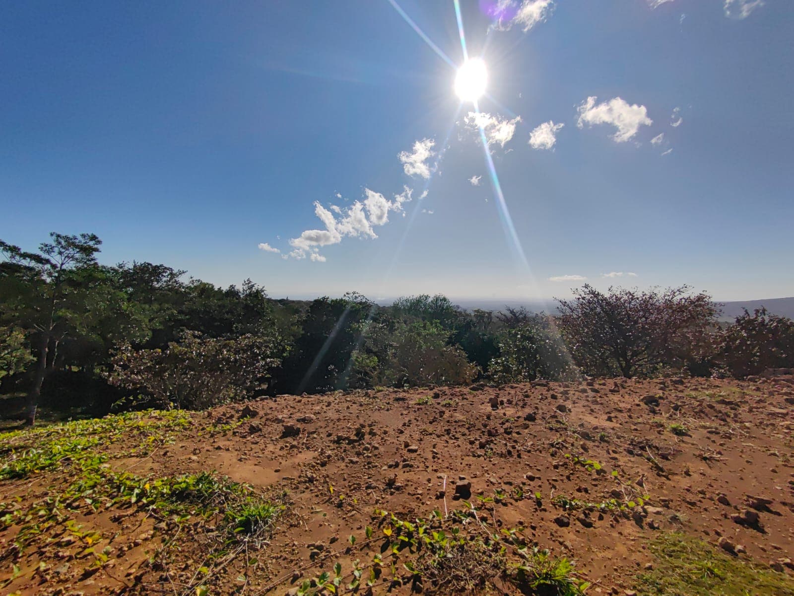 2500 m2 Ready to build / Beautiful Views & Commercial Potential-Nueva Guatemala - 5