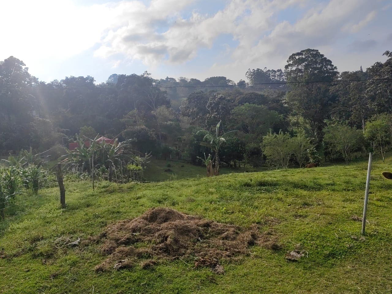 Charming Lot Of 1499 M2 (0.37 Acres) in Tronadora