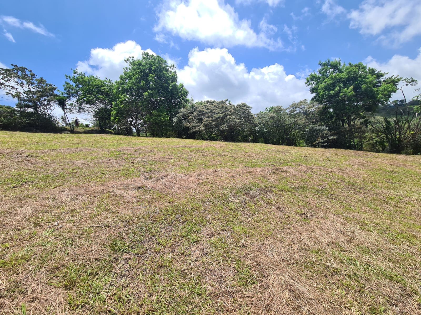 2236 M2 (0,55 acres) Lot with Huge Volcano Views in El Aguacate - 5