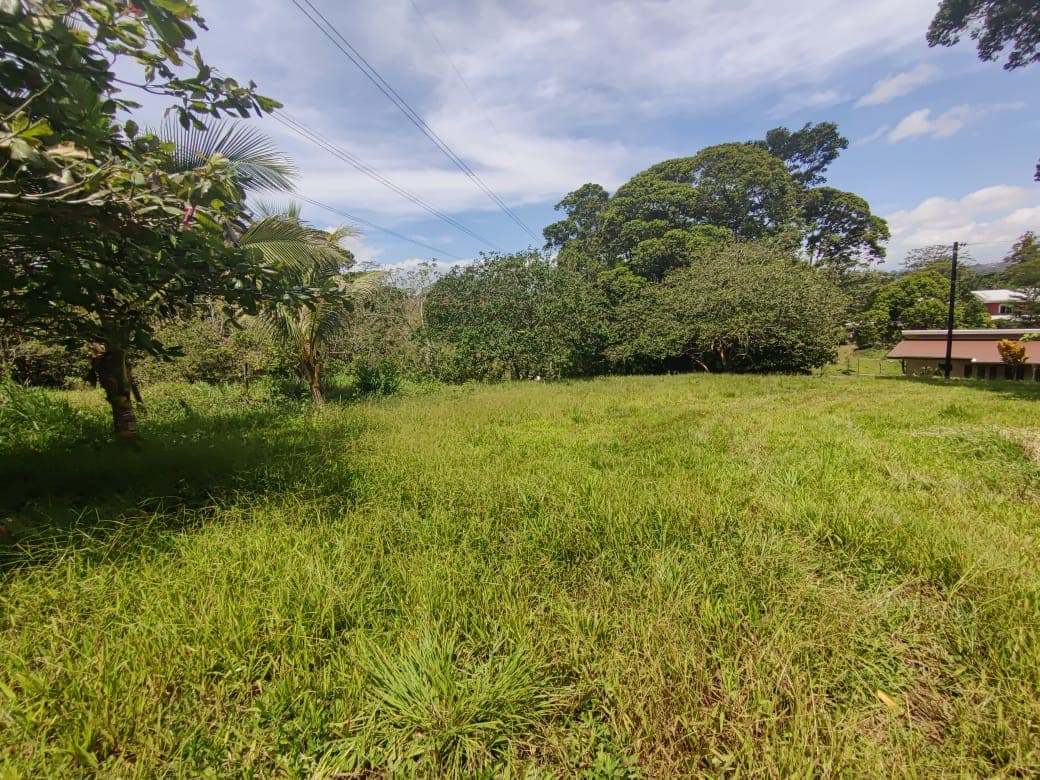 Lovely, 1322 m2 Lot (0,32 acre) in Cuidad Quesada, Alajuela