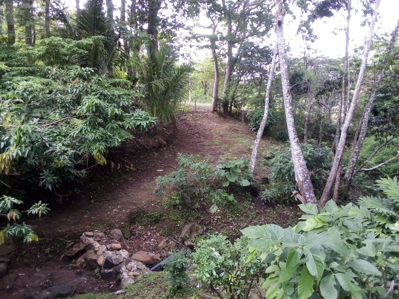 Lot of 15.320 m2 (3.78 Acre) with a private well in Parcelas de Quebrada Azul  - 4