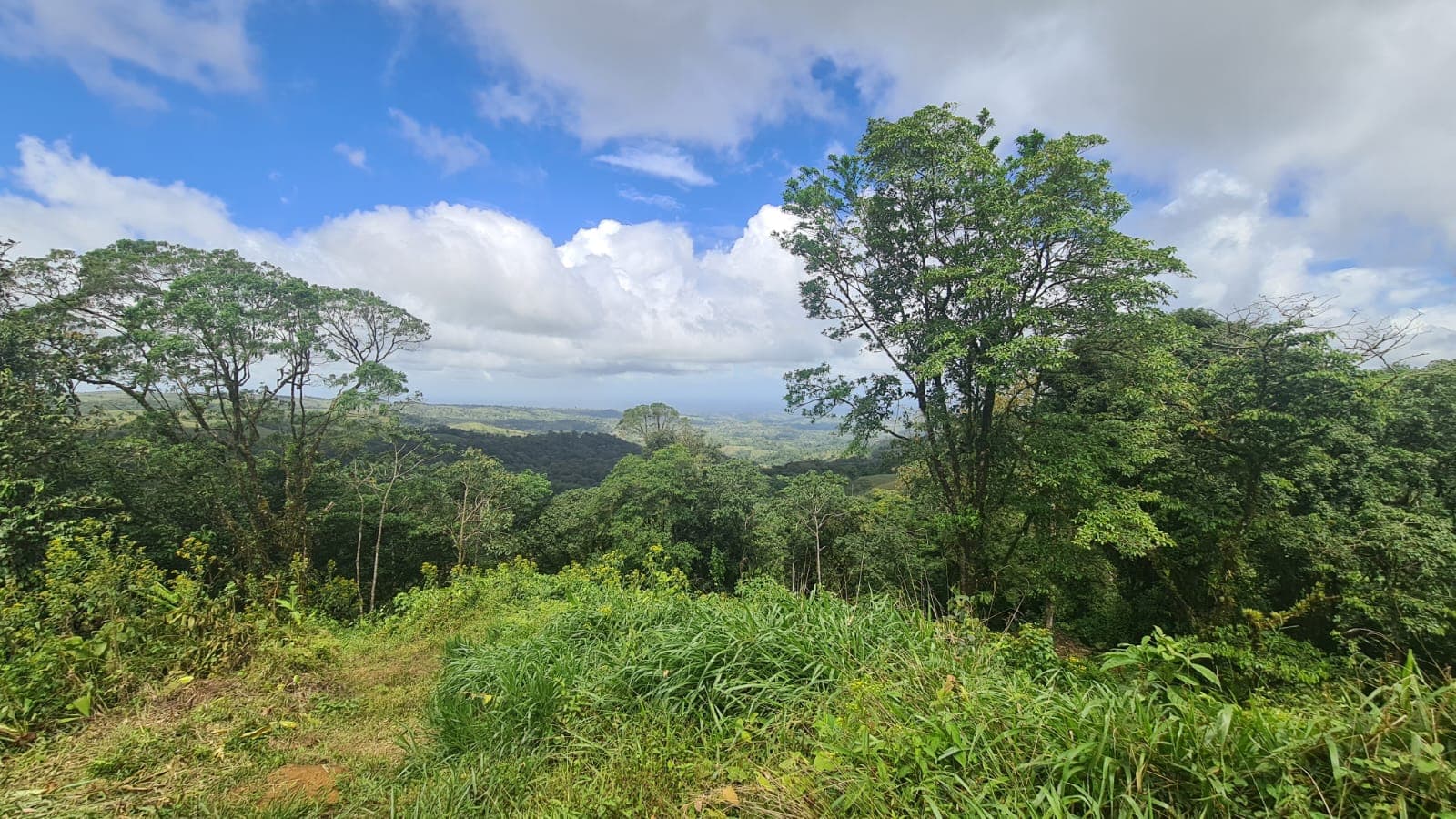 33 Hectare (81.5 acre) Property with Volcano Views in San Carlos, Alajuela - 4