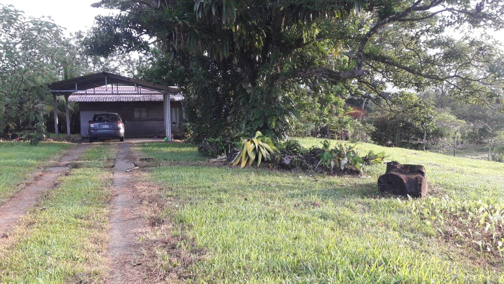 Lovely Studio Cabin on a 5,447 m2 Volcano View lot in Rio Naranjo - 4