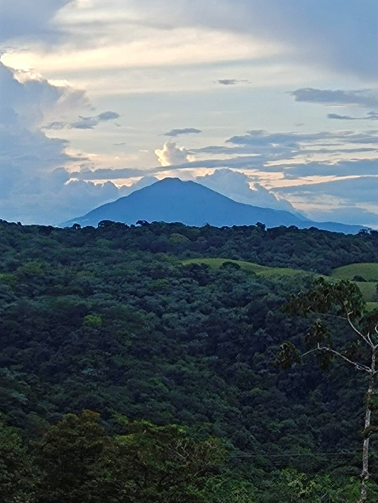 33 Hectare (81.5 acre) Property with Volcano Views in San Carlos, Alajuela