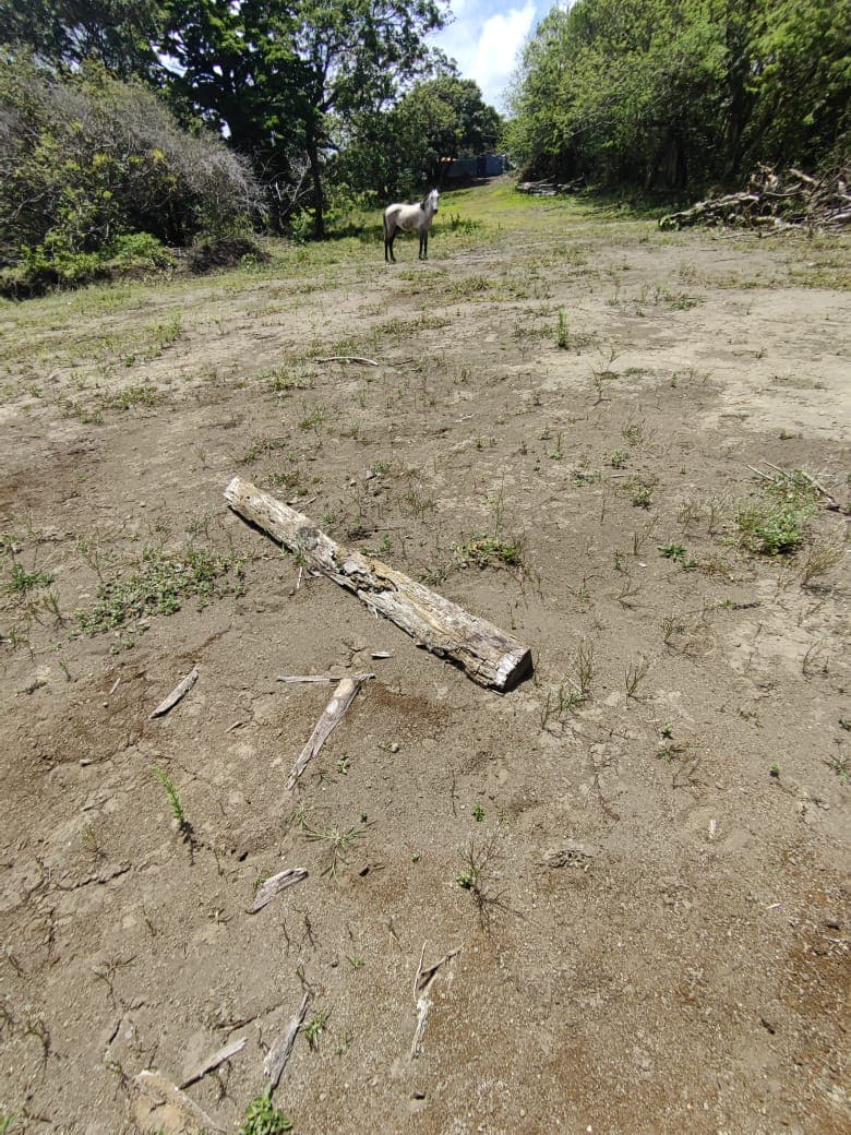 Lot 2 - 1,198 m² - 2