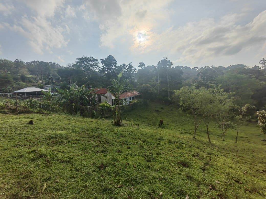 Charming Lot Of 1499 M2 (0.37 Acres) in Tronadora - 2