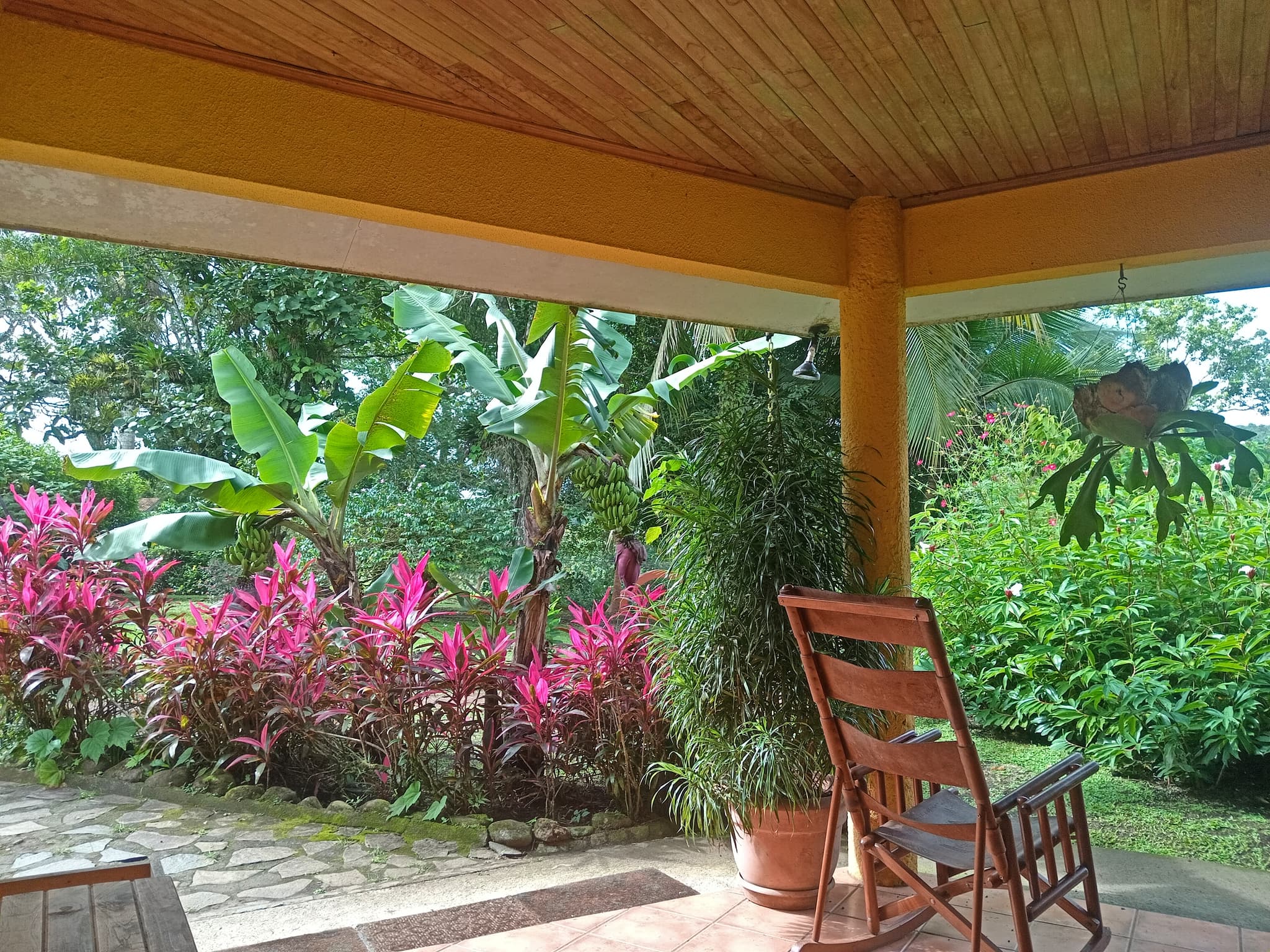 Commercial property: main house + 5 cabins + greenhouse + stable in Cinco Esquinas  - 4