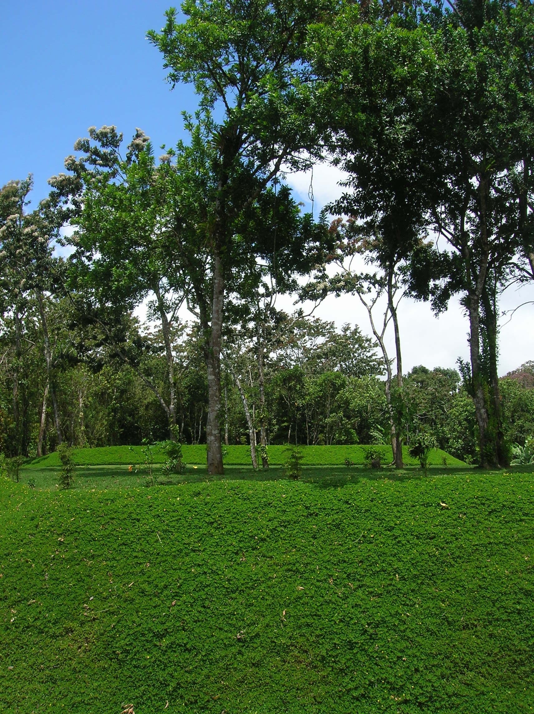 Prime Acreage directly on the Lake and Main Road In Nuevo Arenal - 4
