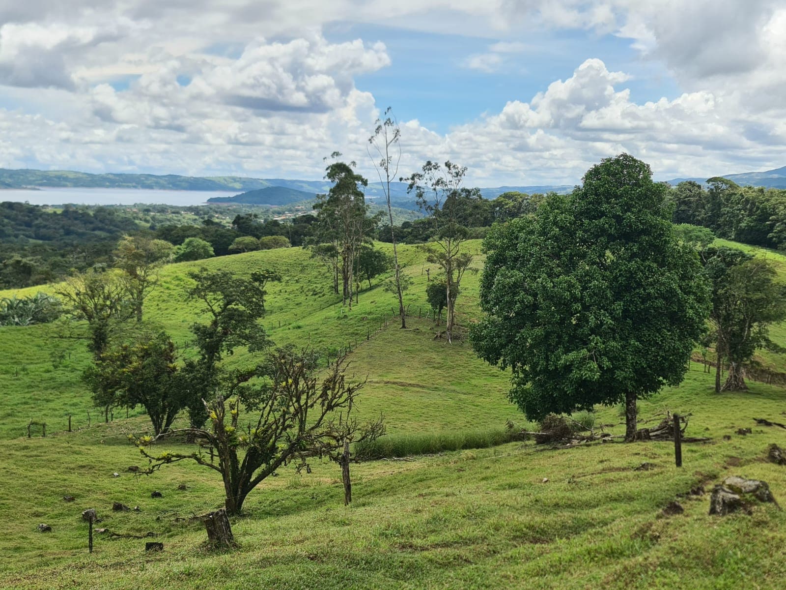 81,500 m2 (20.13 Acre) Lot with Lake and Volcano View in Nuevo Arenal - 4