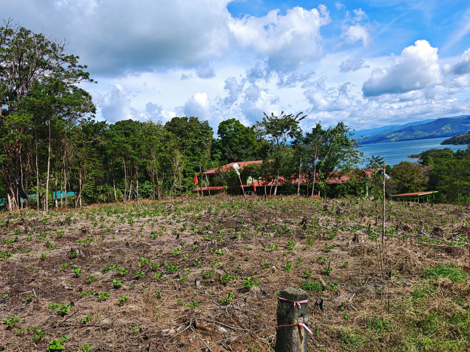 Prime 1,000 m² Lot with Stunning Lake & Mountain Views In Arenal  - 4