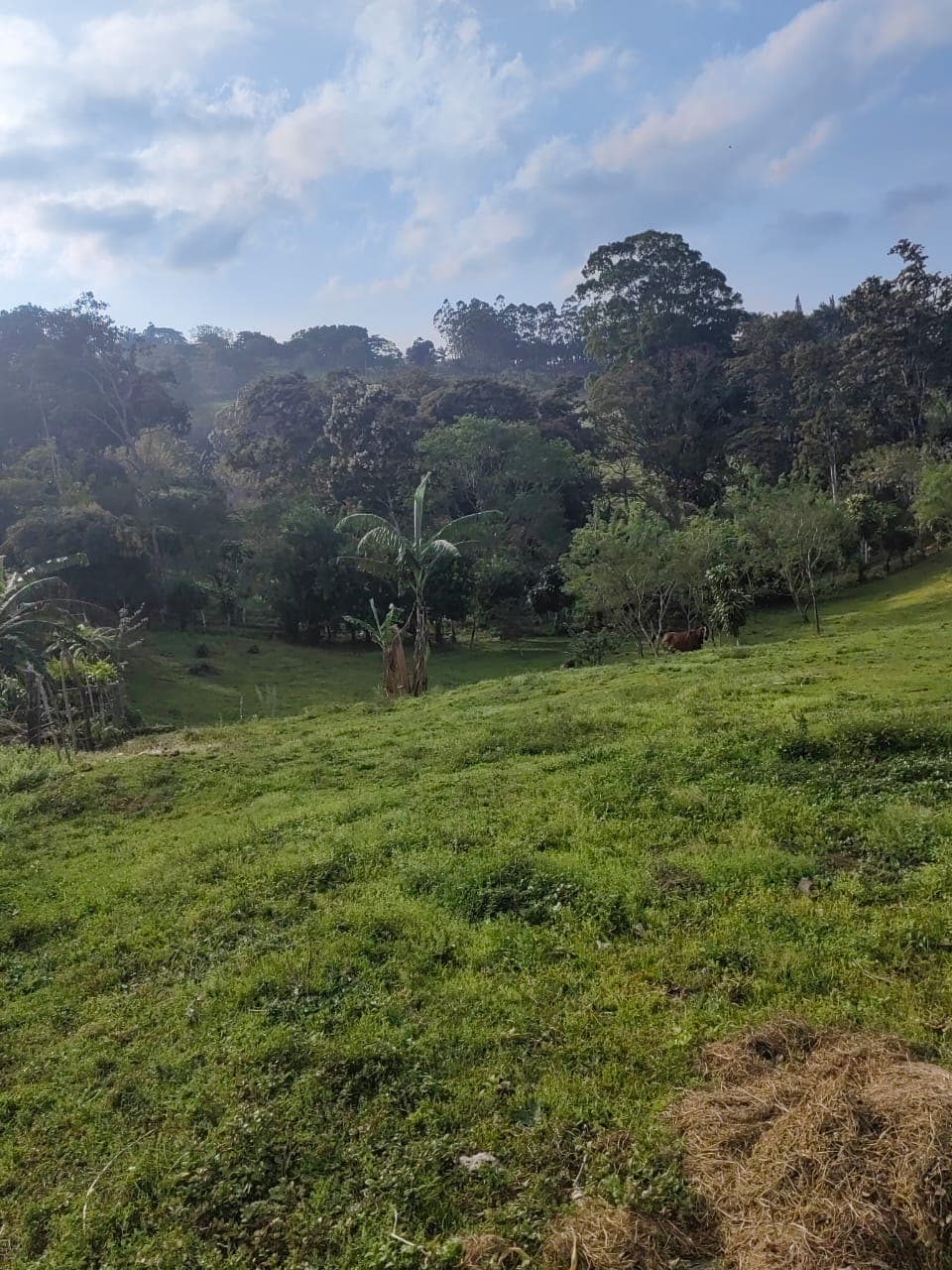 Charming Lot Of 1499 M2 (0.37 Acres) in Tronadora - 3