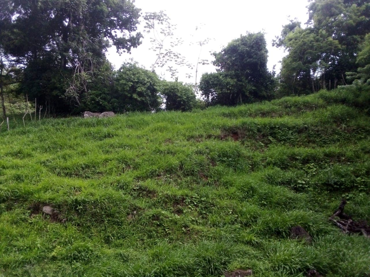 Lot of 15.320 m2 (3.78 Acre) with a private well in Parcelas de Quebrada Azul 