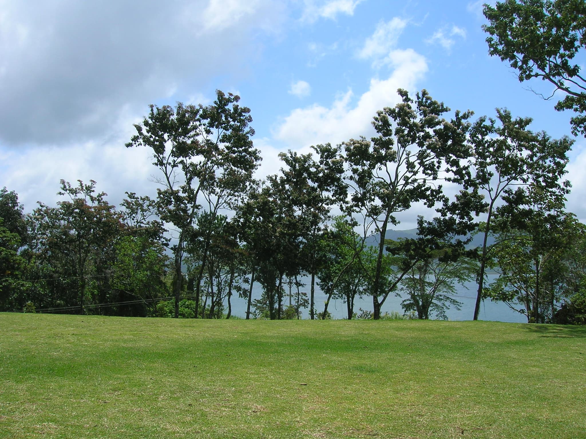 Prime Acreage directly on the Lake and Main Road In Nuevo Arenal