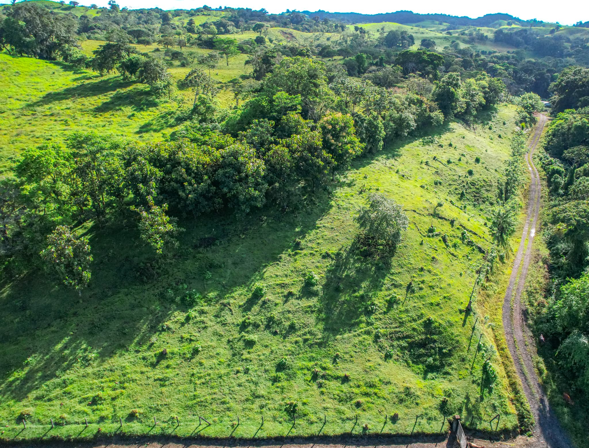 NEW BEAUTIFUL LOT IN PARADISE! In La Unión, Nuevo Arenal - 3