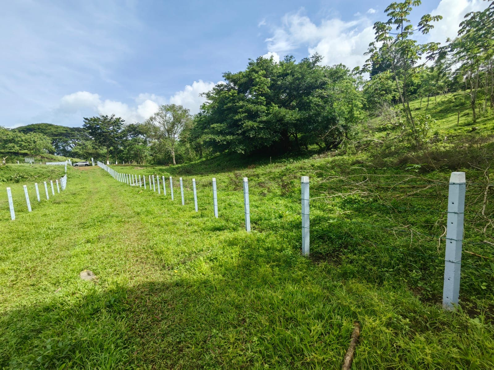 La Jolla Tronadora Prestige Homesites