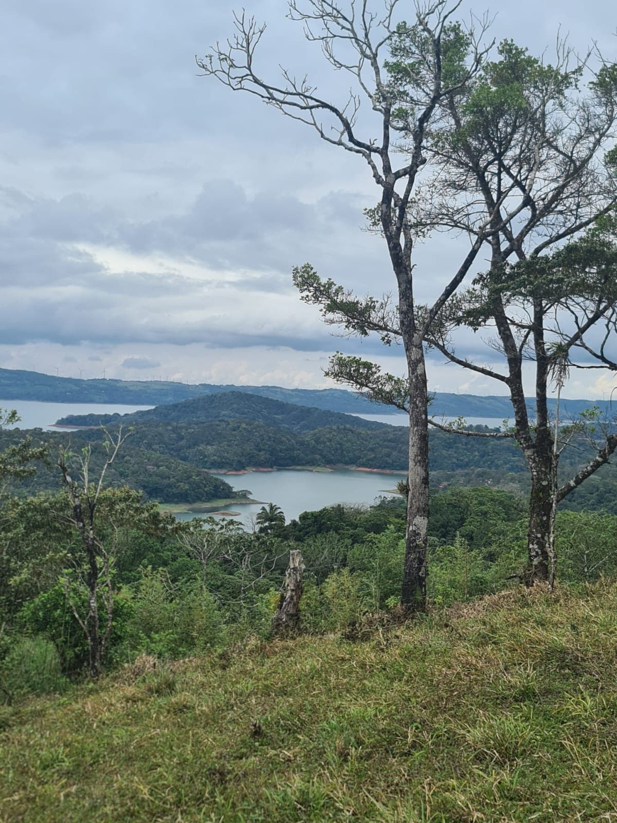 46,600 m2 (11,5 acres) Lot with Amazing Lake View in Nuevo Arenal - 2