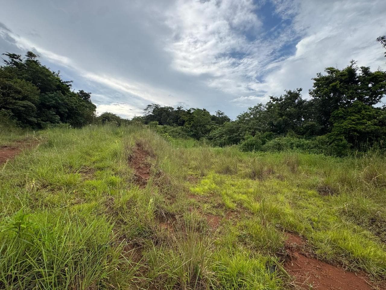 Expansive Lake-Access Property in Turtle Cove, El Aguacate - 4