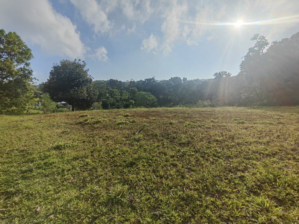 Beautiful Lot of 5461 m2 (1,34 Acre) in downtown Tronadora - 3