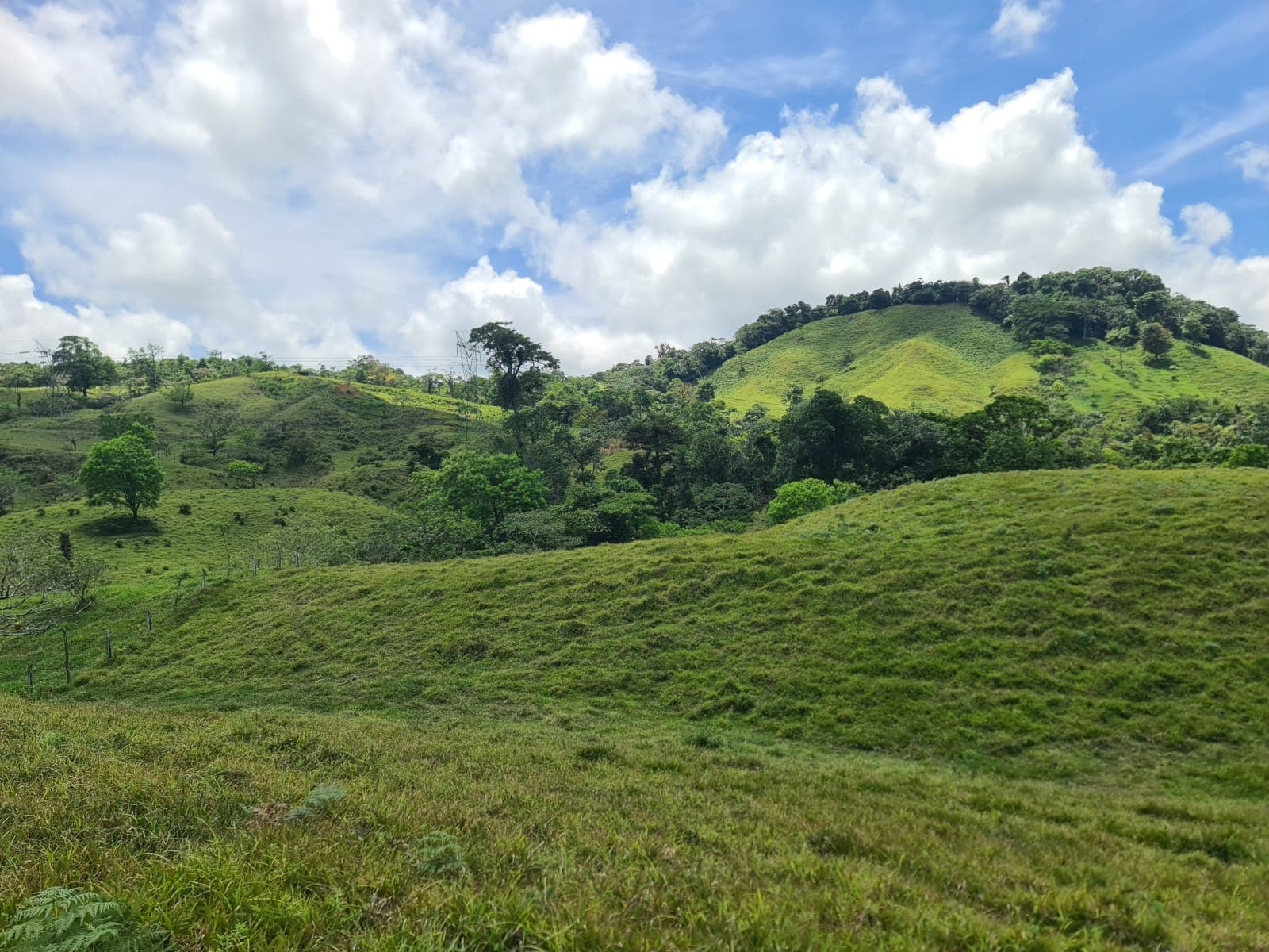 Beautiful 7942 m2 (1,96 acre) Lot Lake View in Nuevo Arenal  - 2