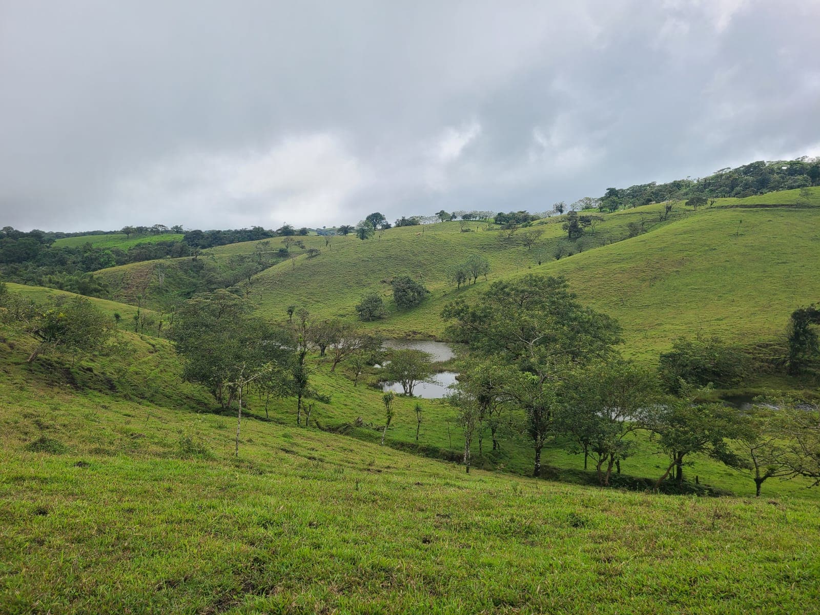 Spectacular 105-Hectare Lot with Lakes, Mountain Views, & Natural Resources  - 4