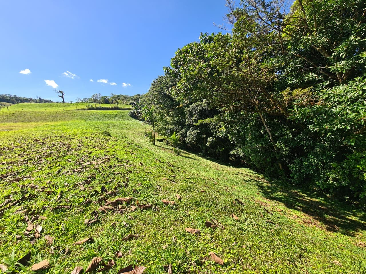 Lot 19 - 6,981 m² - 4