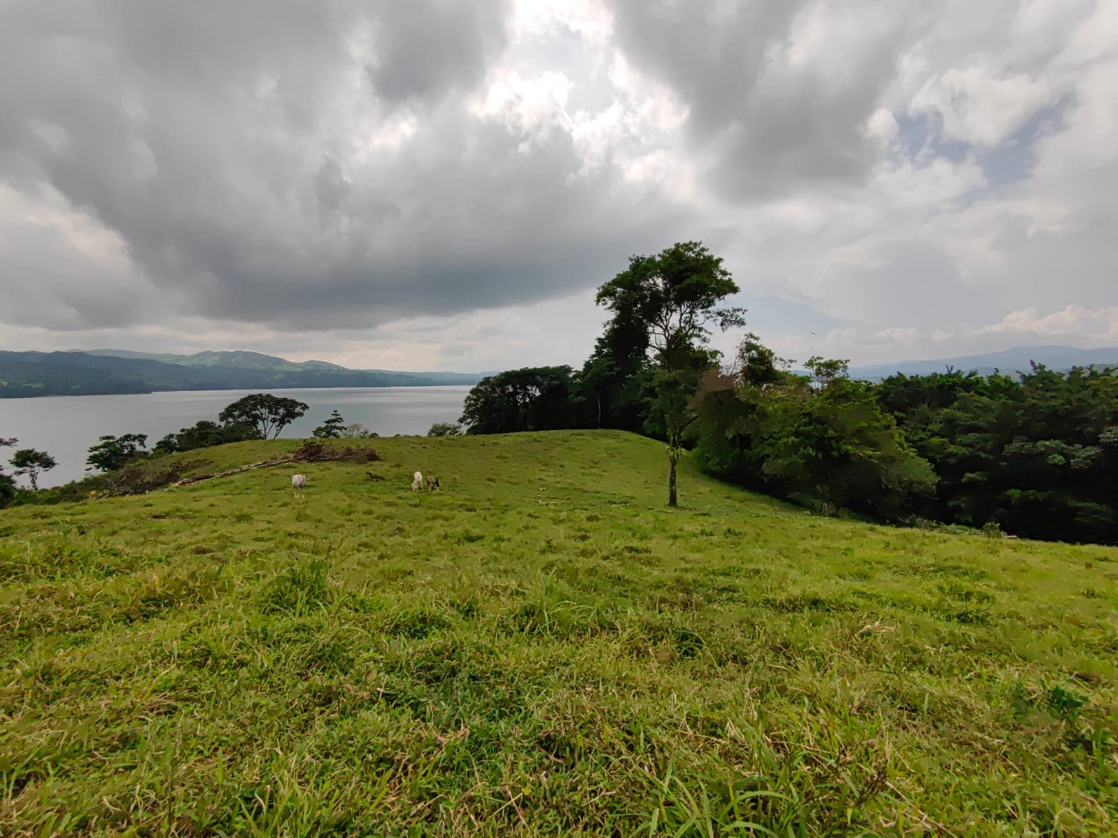 Finca La Tortuga – A Developer’s Dream! Lake Arenal View 5.7 Hectare Farm - 3