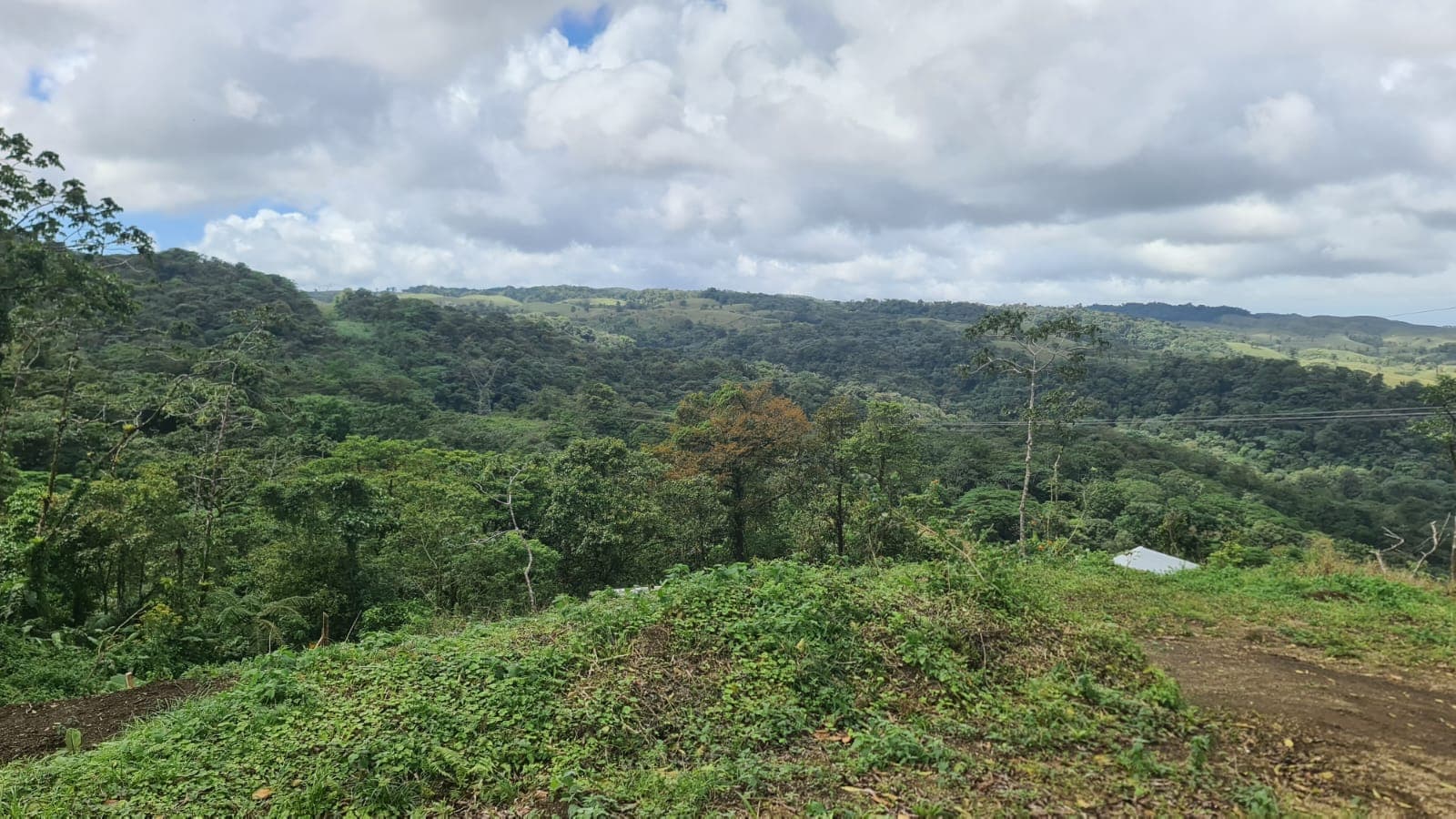 33 Hectare (81.5 acre) Property with Volcano Views in San Carlos, Alajuela - 3