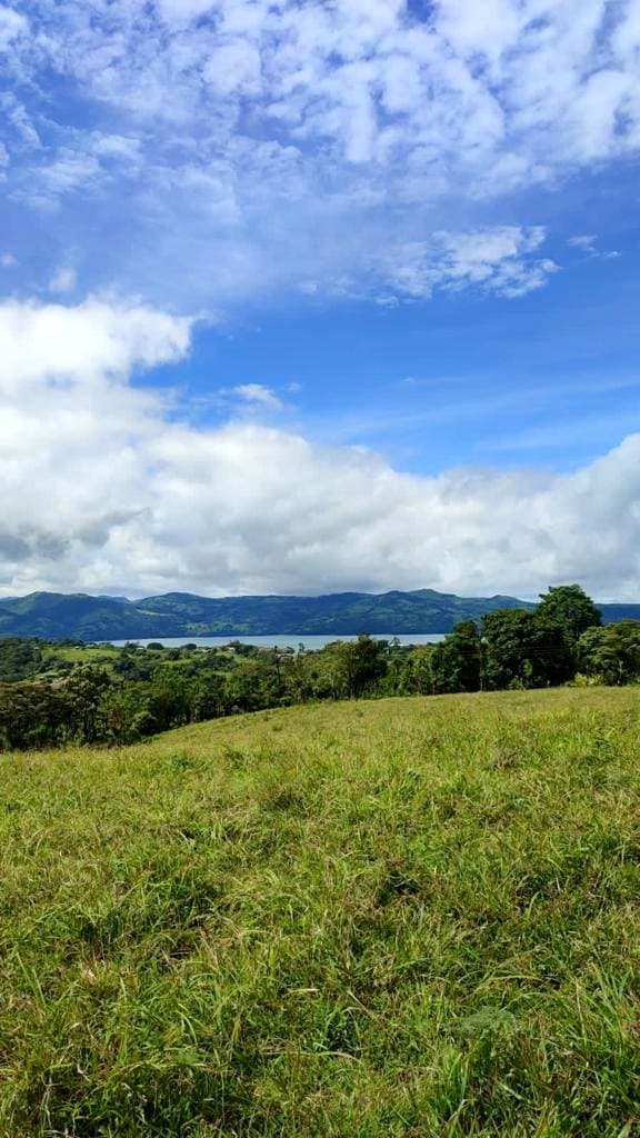 Gorgeous, 4855 m2 (1,19 acre) lot with Lake View in San Antonio, Nuevo Arenal - 5