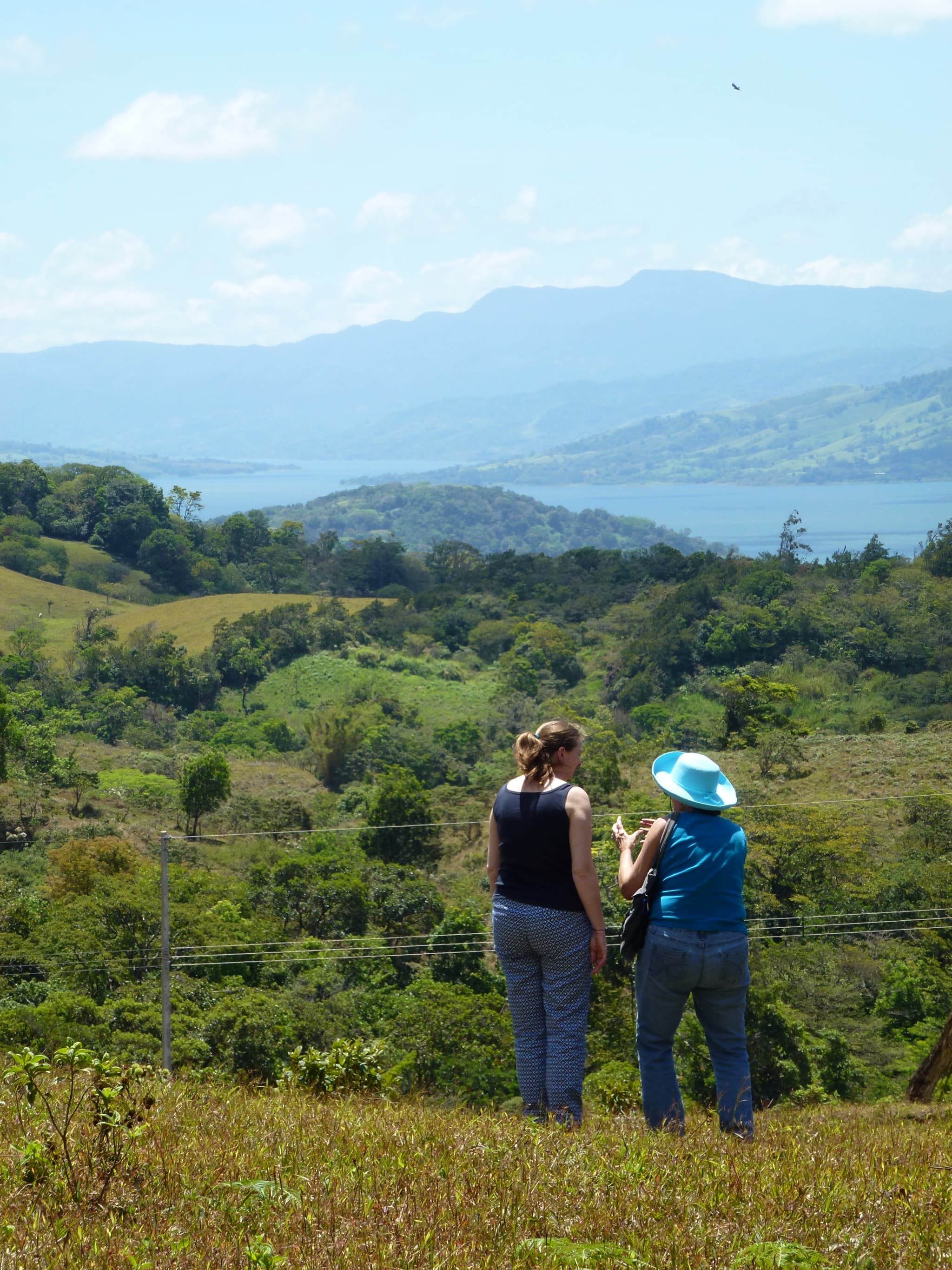 2.26 Acre Lot with Stunning Views Of Lake Arenal and Volcano in Nuevo Arenal  - 2