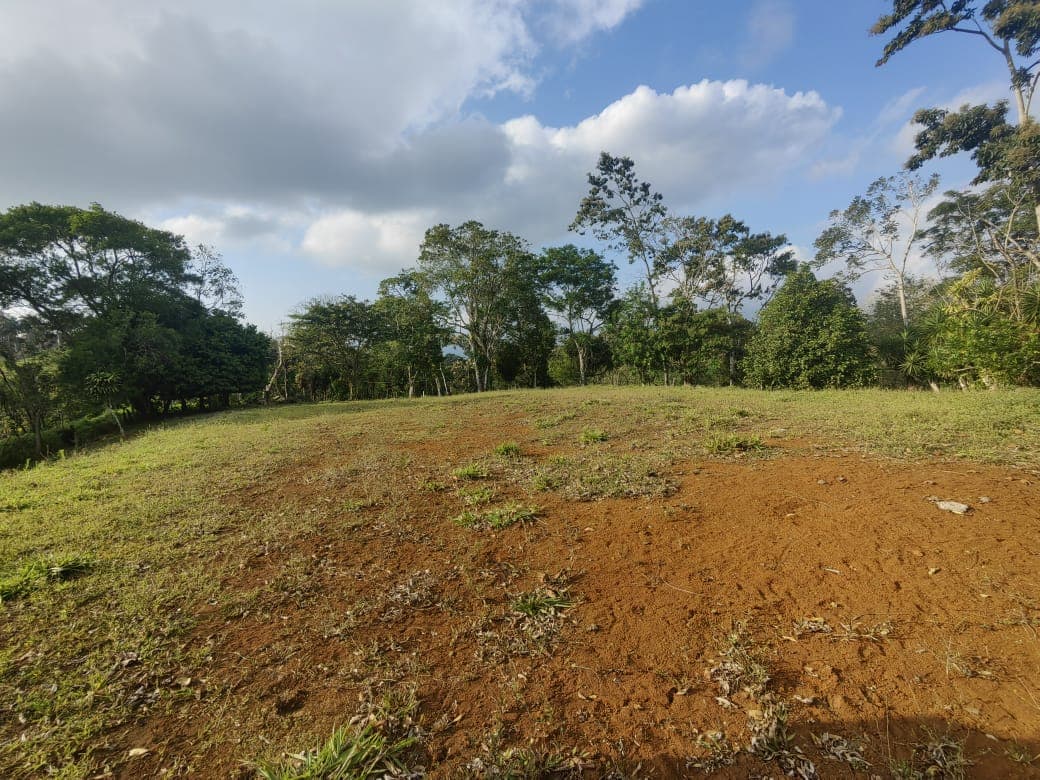 Beautiful Lot of 5461 m2 (1,34 Acre) in downtown Tronadora - 5