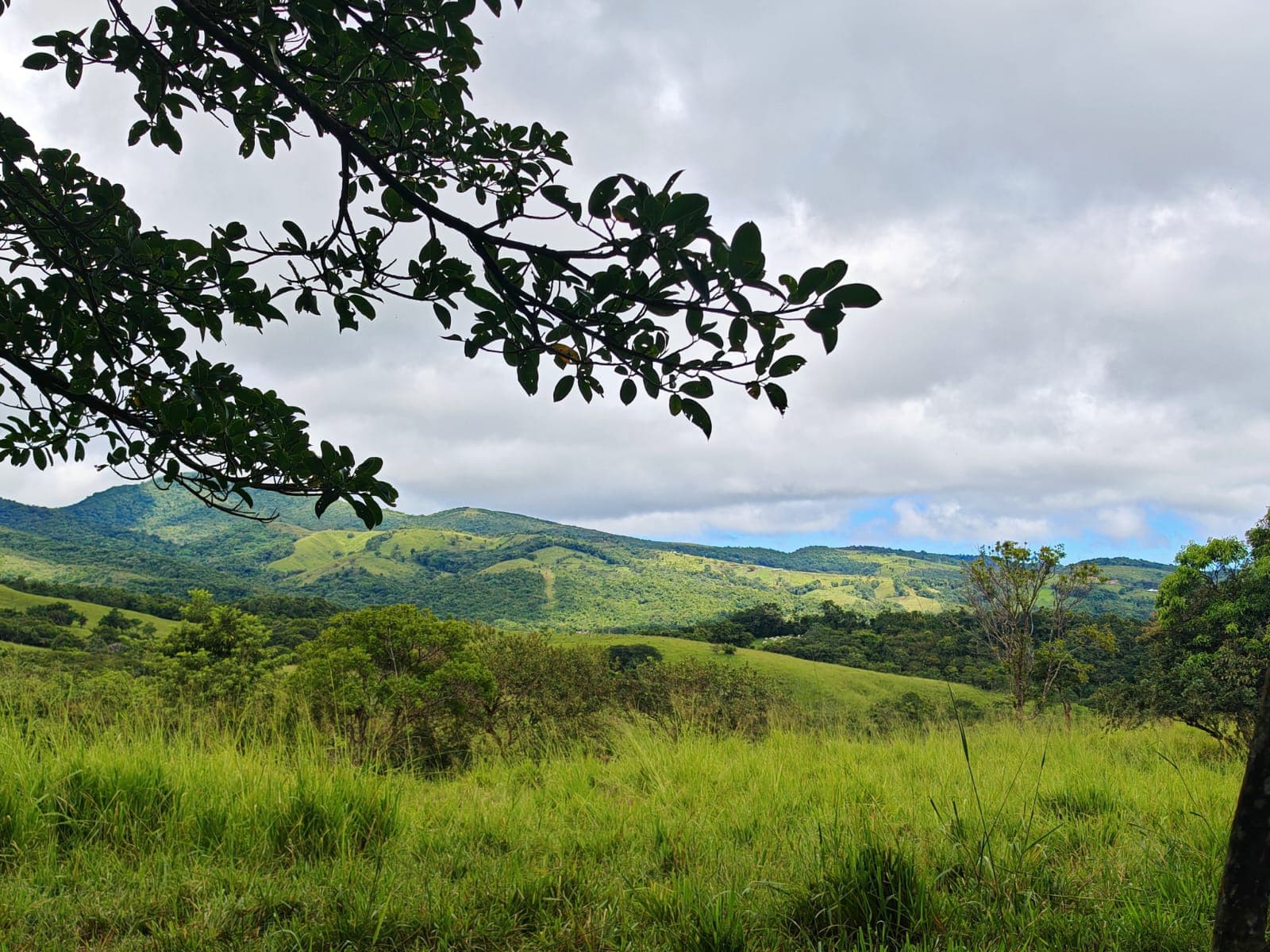 Expansive 30,229 m² (7.46 Acre) Lot w/ House & Scenic Views in Tierras Morenas