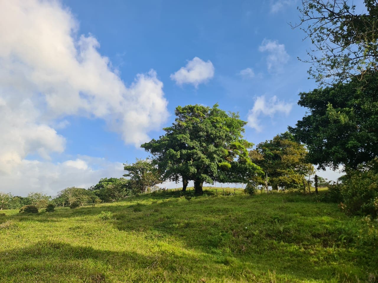 16-Hectare Farm with a Private Well and Views of Lake Arenal in Nuevo Arenal