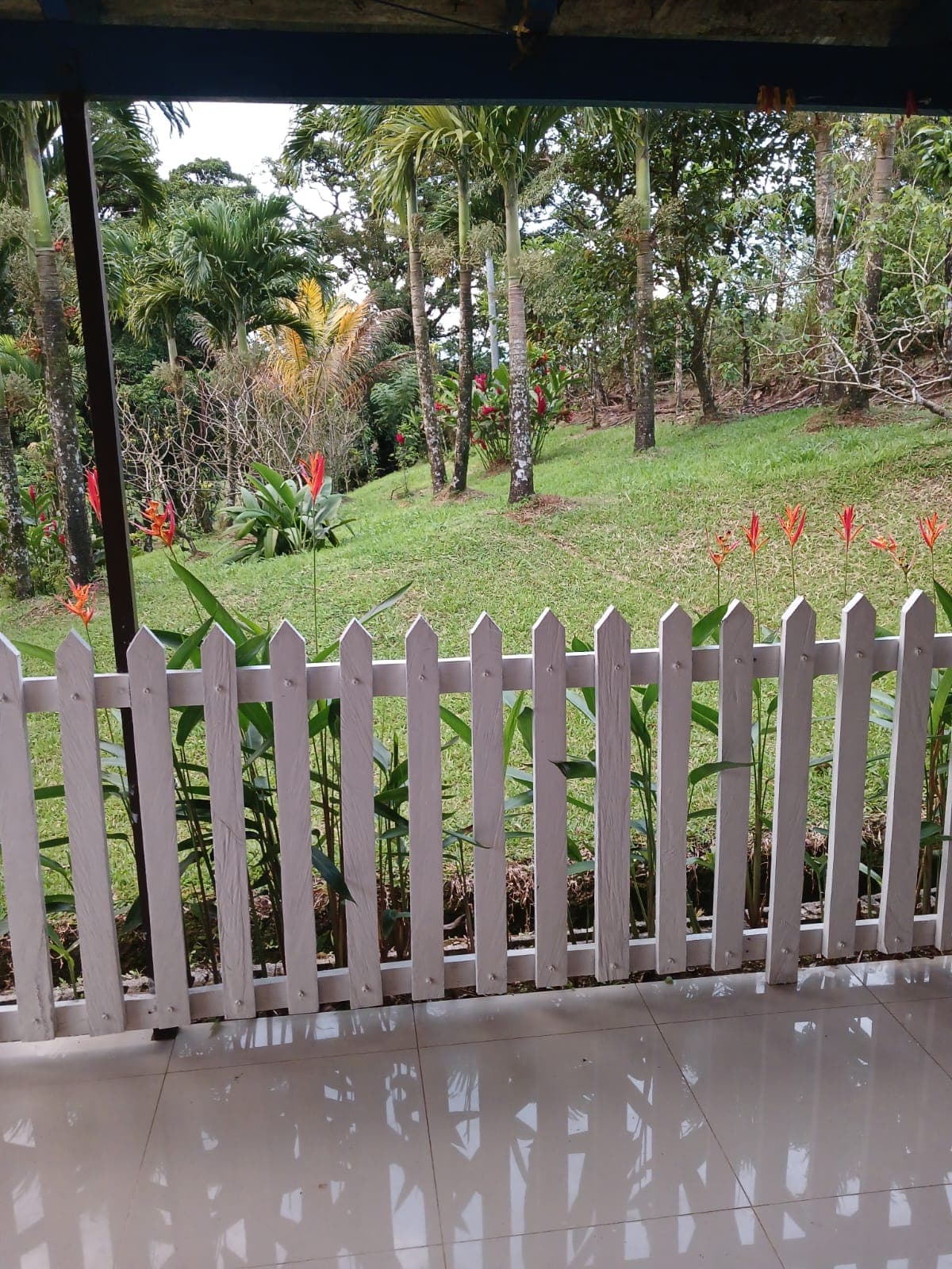 Cozy 1 Bedroom, 1 Bathroom house on a 1,110 m2 lot in Nuevo Arenal - 3