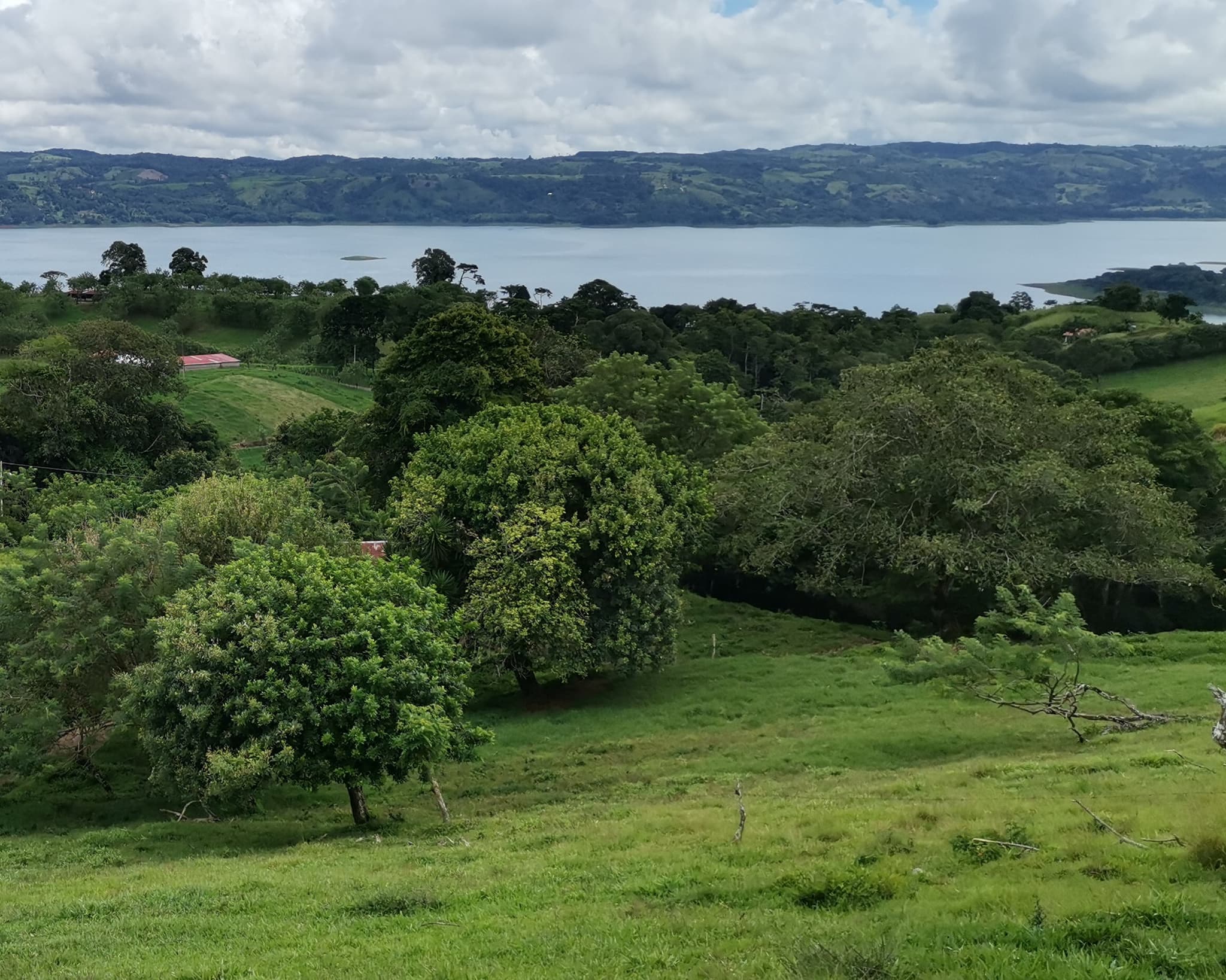 Magnificent 24,811m2 Lake and Volcano View Parcel with Huge Views in Tronadora - 3