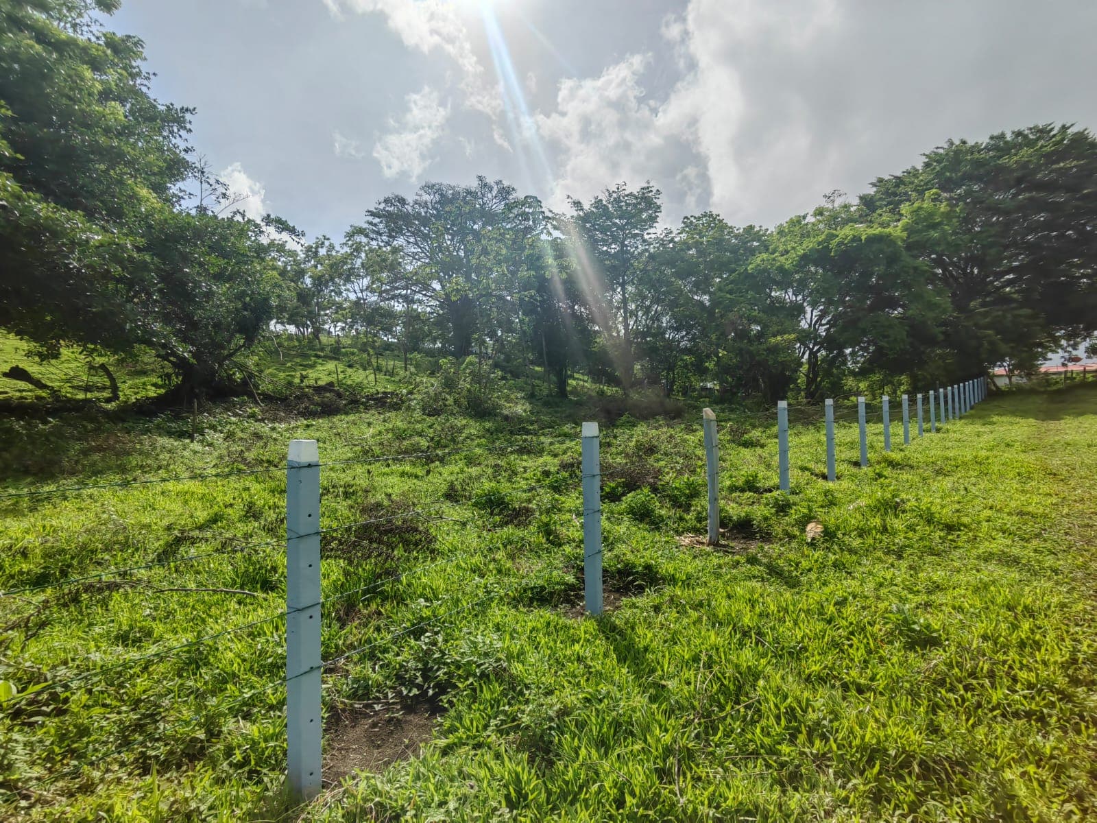 La Jolla Tronadora Prestige Homesites - 5