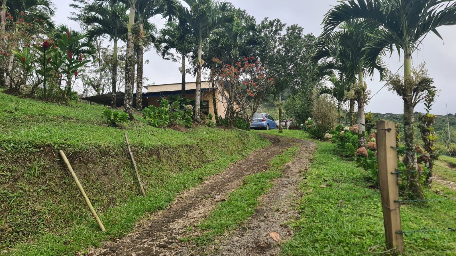 Cozy 1 Bedroom, 1 Bathroom house on a 1,110 m2 lot in Nuevo Arenal