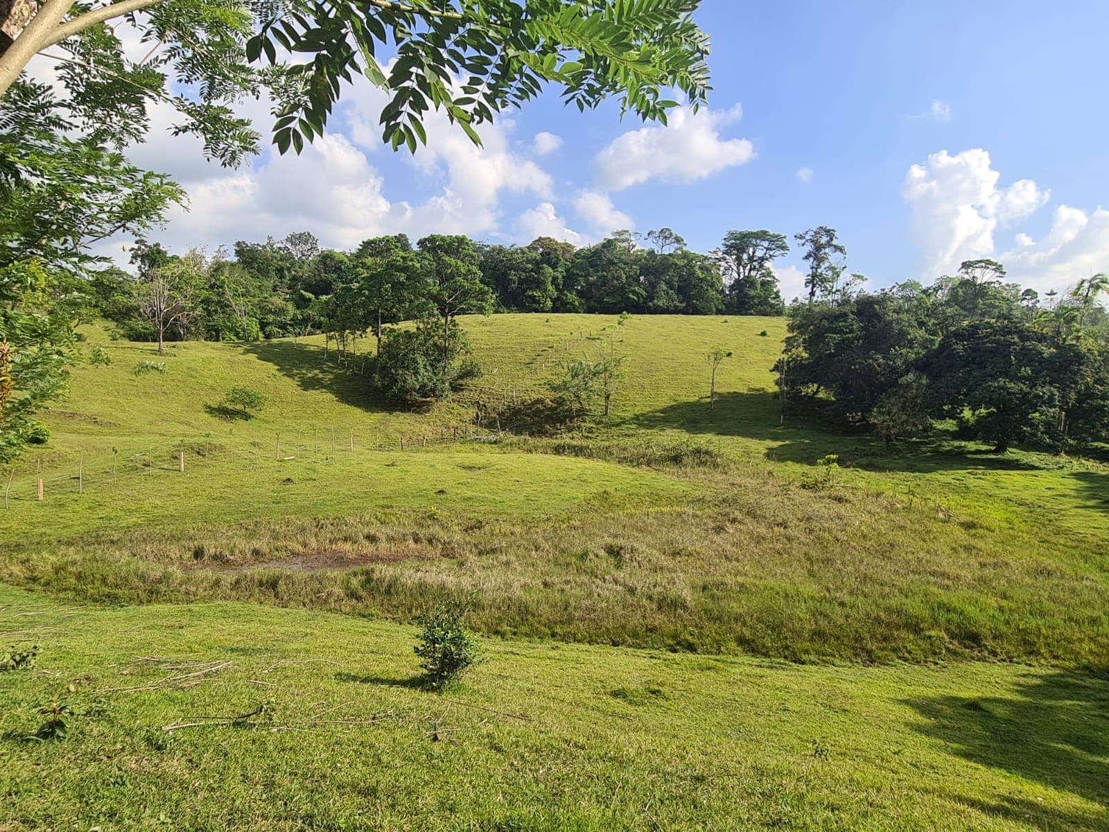 Gorgeous 50,372 m2 (12,4 acre) Farm In Cabanga, Guatuso - 4