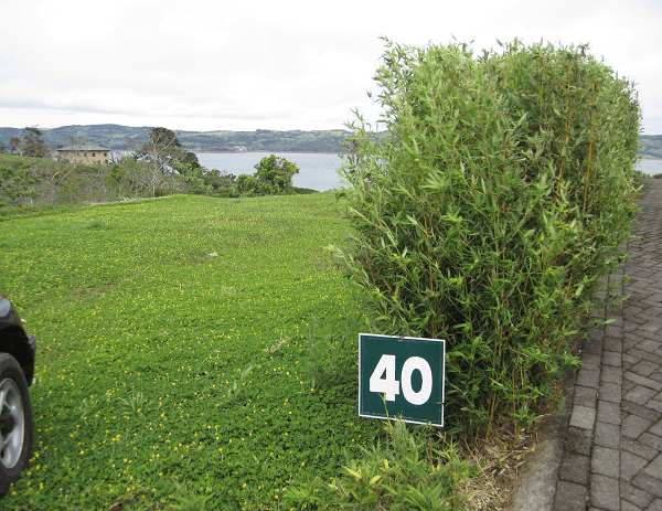 1,30 Acre+ Lake View Lot in Marina Community In Rio Piedras - 3