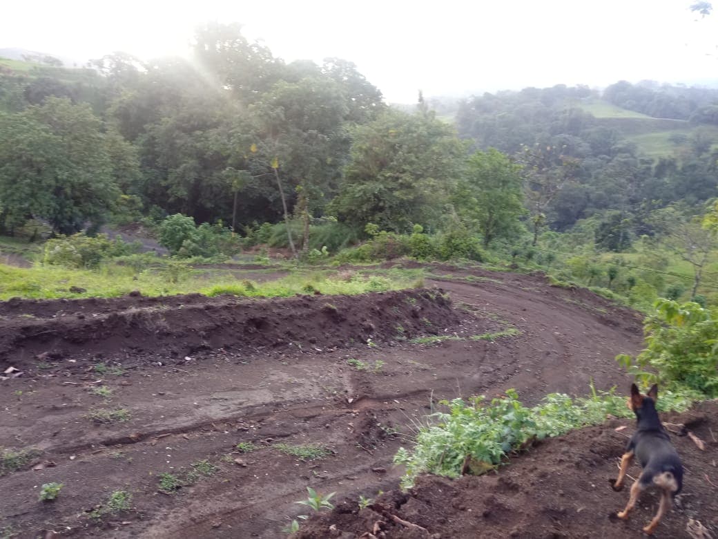 33,691 m² property with Amazing Views and Private Waterfall in La Union  - 3