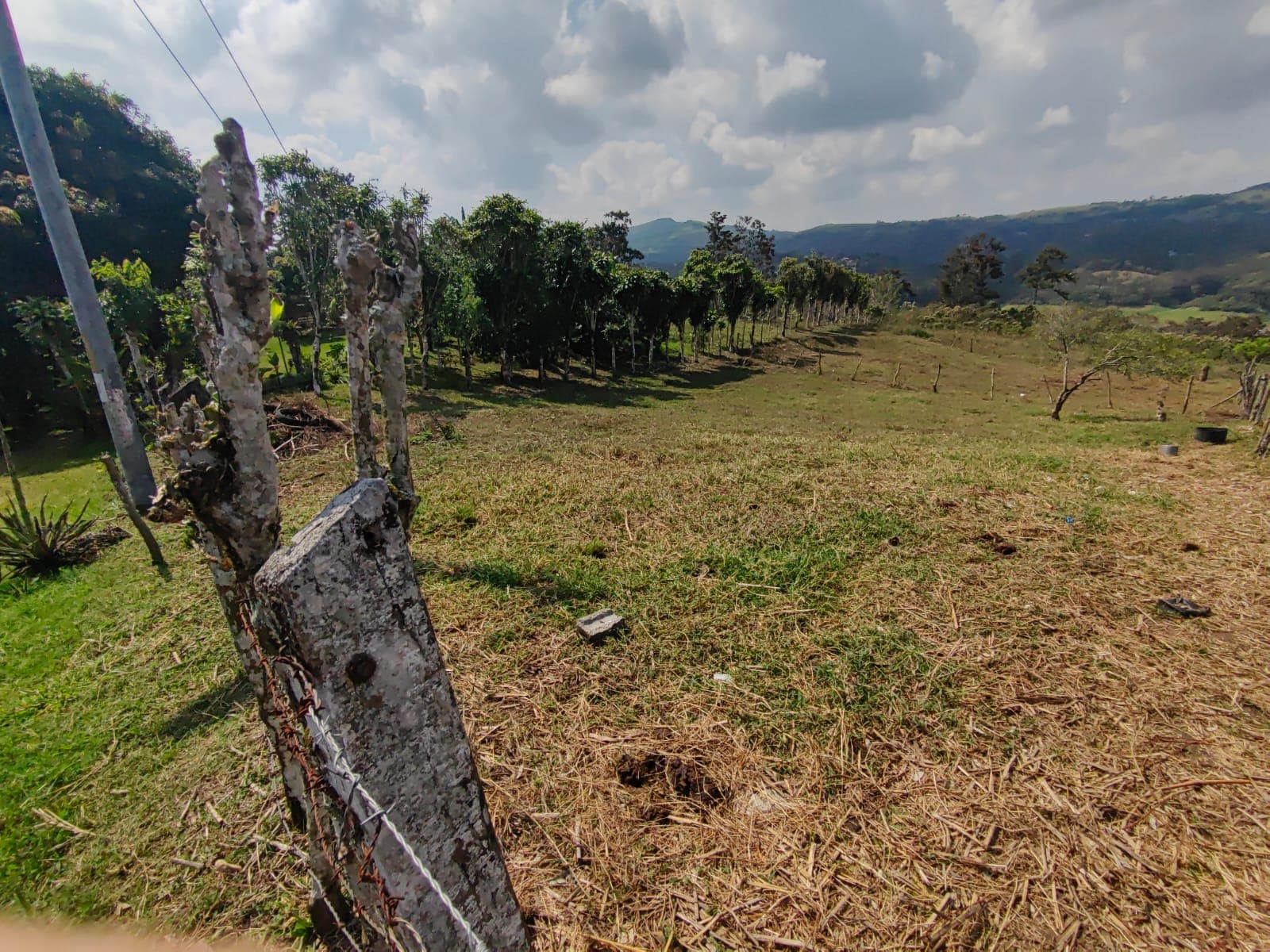 Lovely Lot of 750 m2 (0.18 Acre) with Lake Arenal View in Tronadora - 3