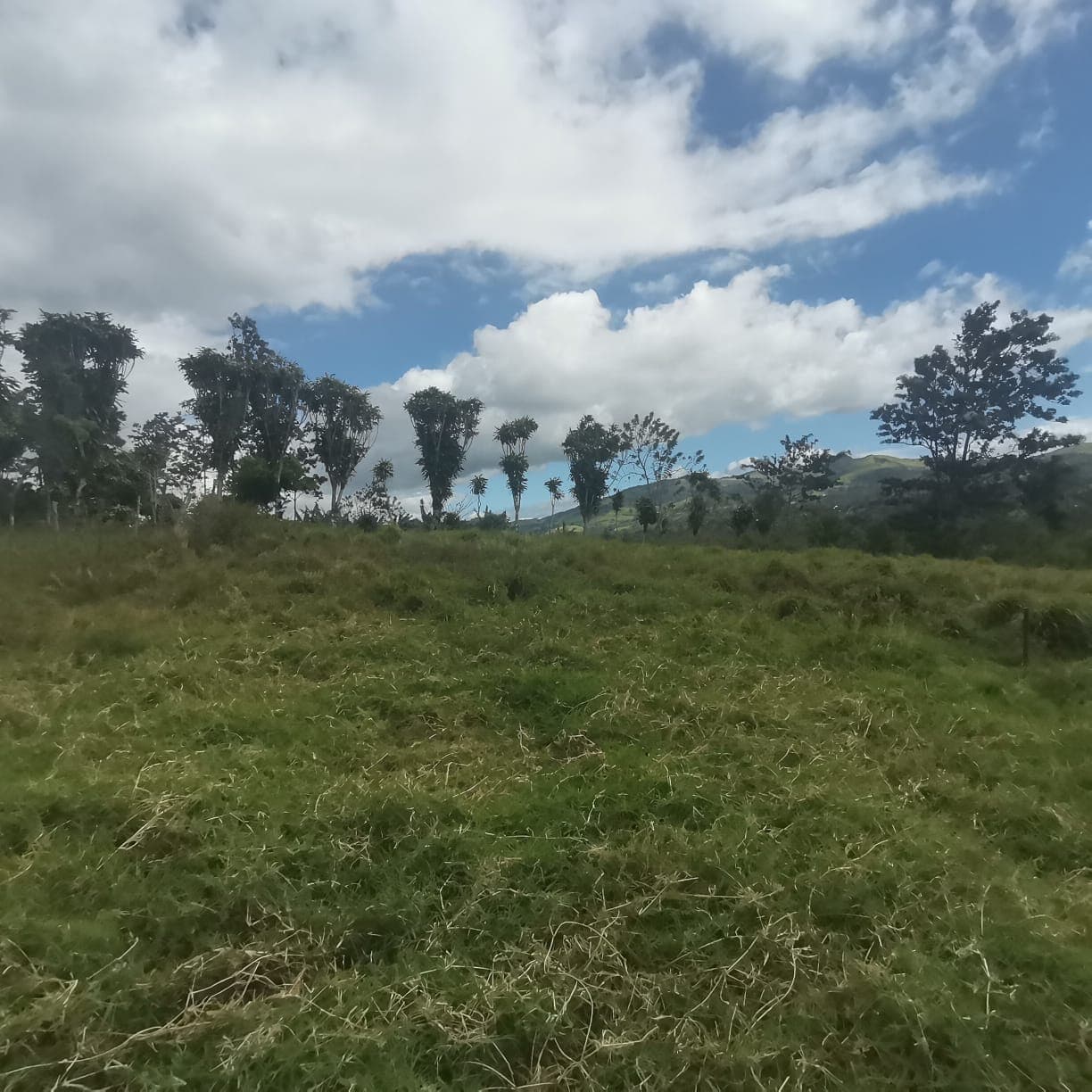 Spectacular, 5000m2, Lake View, LAKE ACCESS Lot in Tronadora!  - 3