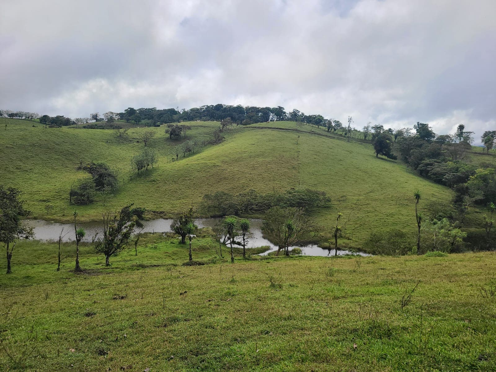 Spectacular 105-Hectare Lot with Lakes, Mountain Views, & Natural Resources 