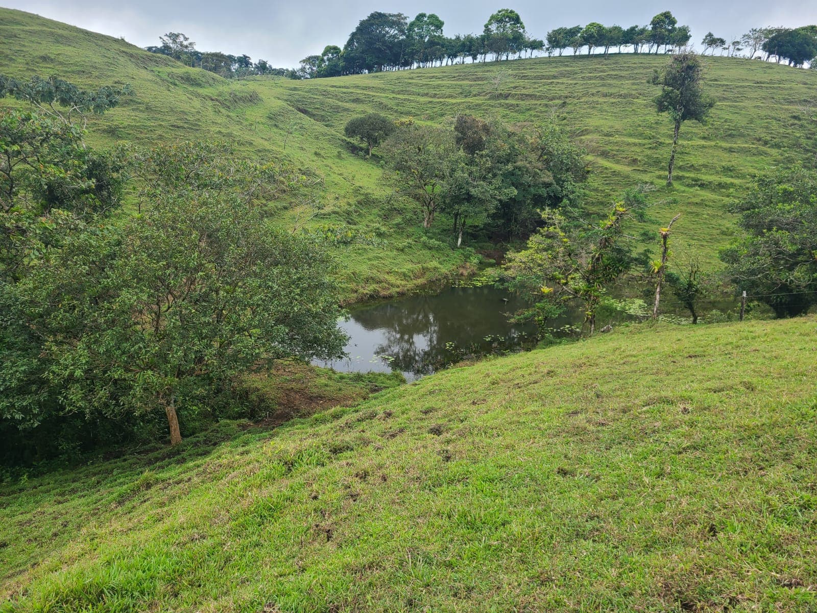 Spectacular 105-Hectare Lot with Lakes, Mountain Views, & Natural Resources  - 3