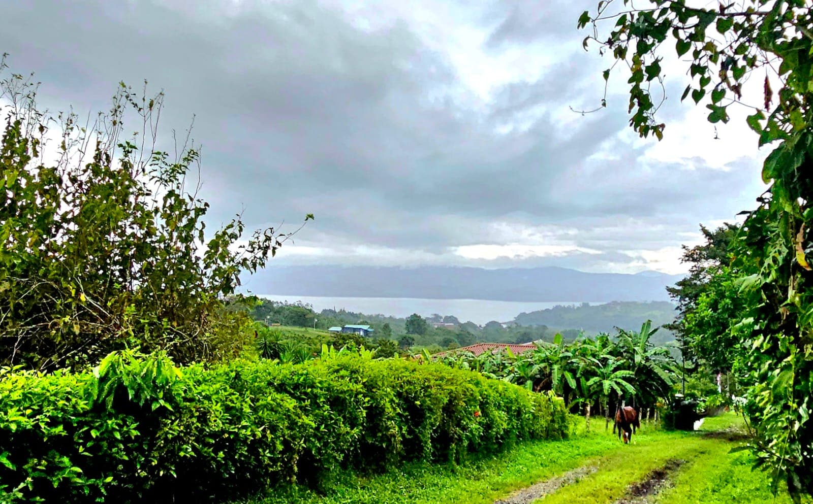 8,737 M2 (2.15 Acre) Lot with View  of Lake Arenal in Tronadora