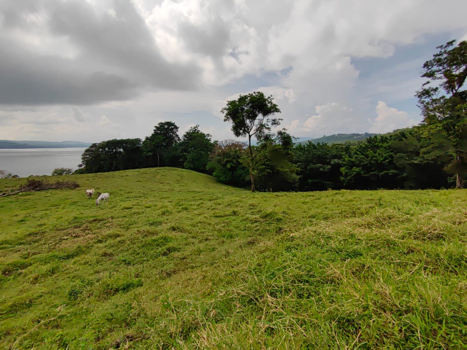 Finca La Tortuga – A Developer’s Dream! Lake Arenal View 5.7 Hectare Farm - 4