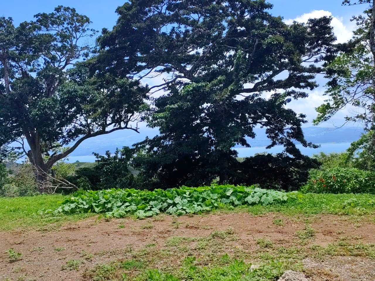 Beautiful, 1359 m2, Lake Arenal View Lot in San Luis, Tilarán