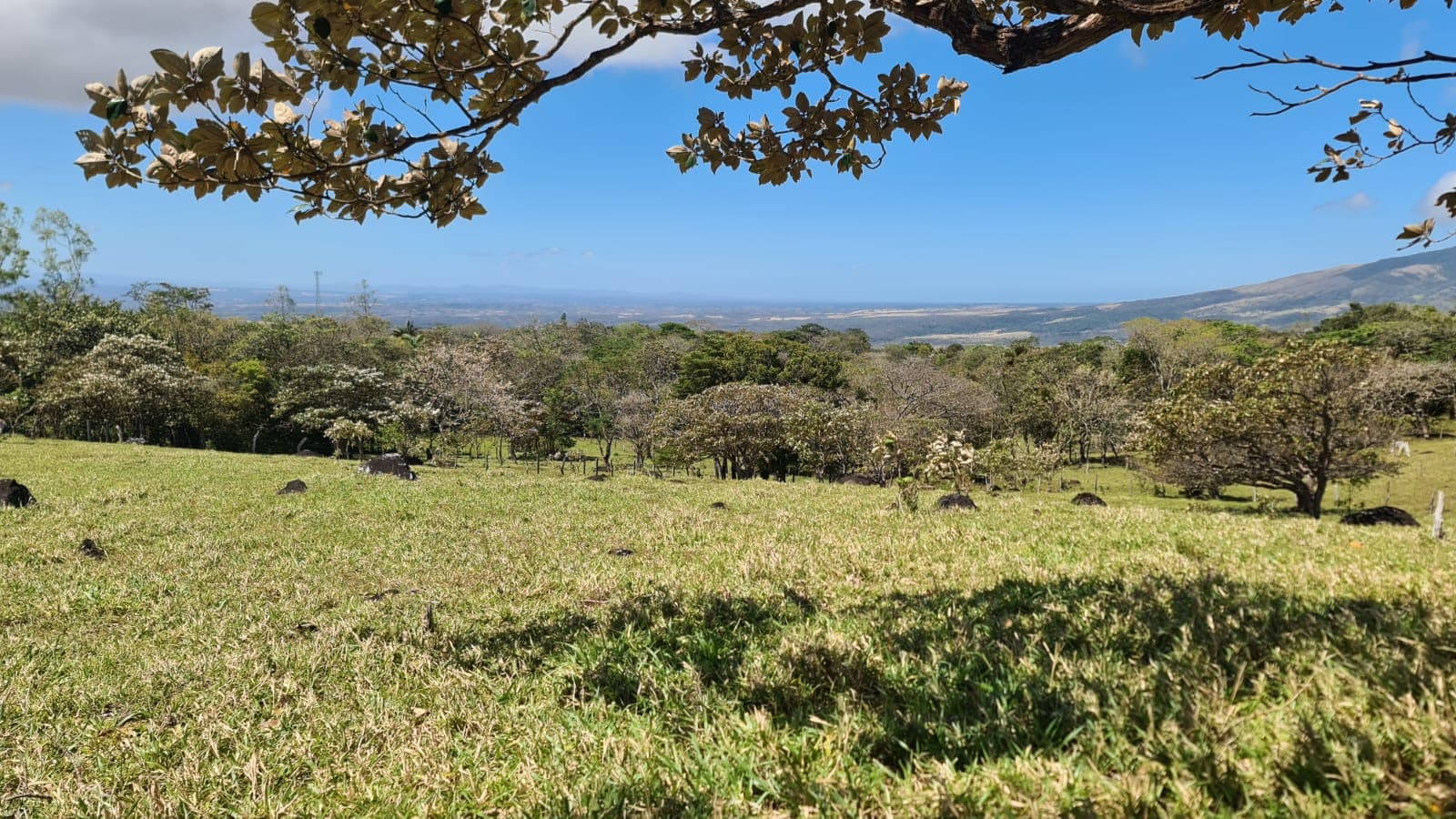 10,000 M2 (2.47 Acre) Lot with Volcano View in Nueva Guatemala - 5